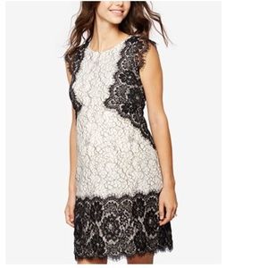 A Pea in the Pod Black and White Lace Dress
